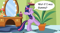 Size: 851x474 | Tagged: safe, derpibooru import, edit, edited screencap, screencap, gummy, twilight sparkle, pony, green isn't your color, exploitable meme, forced meme, meme, potted plant, secret pot meme, solo, speech bubble