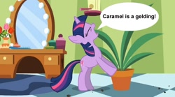 Size: 854x475 | Tagged: safe, derpibooru import, edit, edited screencap, screencap, twilight sparkle, green isn't your color, exploitable meme, forced meme, gelding, meme, potted plant, secret pot meme, solo, speech bubble, twilight's confessions