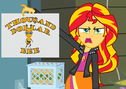 Size: 1016x720 | Tagged: safe, sunset shimmer, equestria girls, exploitable meme, game show, meme, solo, sunset is disgusted, thousand dollar bee