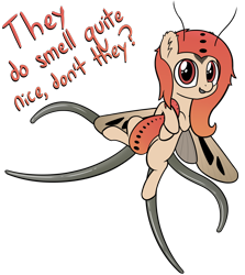 Size: 3374x3791 | Tagged: safe, artist:czu, oc, oc only, bug pony, insect, moth, mothpony, original species, coremata, i can't believe it's not badumsquish, male, unnamed oc