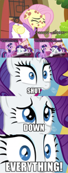 Size: 960x2430 | Tagged: safe, derpibooru import, fluttershy, rarity, twilight sparkle, pegasus, pony, unicorn, comic, madagascar, meme, pandemic, president, shut down everything