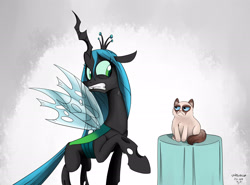 Size: 2700x2000 | Tagged: safe, artist:poecillia-gracilis19, queen chrysalis, cat, changeling, changeling queen, grumpy cat, meme