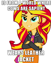 Size: 600x740 | Tagged: safe, sunset shimmer, equestria girls, image macro, leather, meme, solo