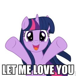 Size: 800x800 | Tagged: safe, derpibooru import, twilight sparkle, pony, dialogue, female, hug, image macro, incoming hug, mare, simple background, solo, white background