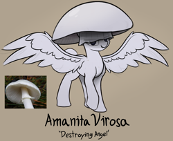 Size: 1986x1617 | Tagged: safe, artist:czu, part of a set, oc, oc only, original species, pegasus, mushroom, mushroom pony