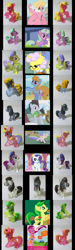 Size: 699x2330 | Tagged: safe, apple fritter, banana fluff, holly dash, lily, lily valley, lucky clover, rarity, apple family member, apple stars, background pony, barber groomsby, berry dreams, cherry pie, comparison, glasses, irl, lonsdaleite, photo, toy