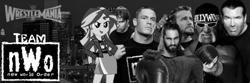 Size: 600x200 | Tagged: safe, sunset shimmer, human, ada wong, barely pony related, cm punk, dean ambrose, hulk hogan, irl, irl human, john cena, meme, nwo, obligatory pony, photo, resident evil, scott hall, seth rollins, wrestlemania, wwe