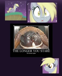 Size: 749x922 | Tagged: safe, derpy hooves, pegasus, pony, discovery meme, exploitable meme, female, mare, meme