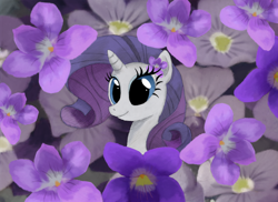 Size: 900x654 | Tagged: safe, artist:hewison, rarity, pony, unicorn, flower, solo, violet (flower)