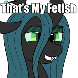 Size: 1000x1000 | Tagged: safe, artist:spritepony, queen chrysalis, changeling, changeling queen, bedroom eyes, grin, image macro, lip bite, meme, meta, simple background, smiling, solo, text, that is my fetish, transparent background