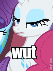 Size: 210x281 | Tagged: safe, rarity, pony, unicorn, female, mare, purple mane, reaction image, solo, wat, white coat