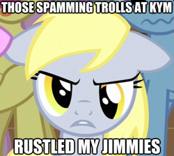 Size: 625x560 | Tagged: safe, derpy hooves, pegasus, pony, female, image macro, jimmies, know your meme, mare