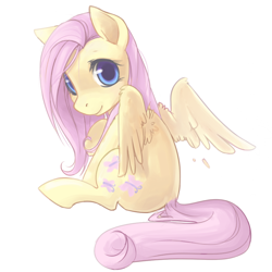 Size: 700x700 | Tagged: safe, artist:zayger, fluttershy, pegasus, pony, cute, looking at you, looking back, looking back at you, shyabetes, simple background, solo, white background, wing fluff