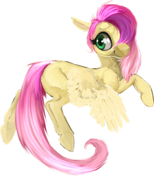 Size: 522x600 | Tagged: safe, artist:taokaka, fluttershy, pegasus, pony, female, mare, pink mane, solo, yellow coat