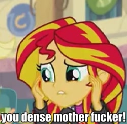 Size: 371x362 | Tagged: safe, sunset shimmer, equestria girls, image macro, meme, solo, vulgar