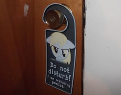 Size: 1200x943 | Tagged: safe, derpy hooves, pegasus, pony, door, doornob hanger, female, mare