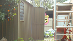 Size: 1058x595 | Tagged: safe, fluttershy, .mov, fluttershed, irl, photo, ponies in real life, pony.mov, shed.mov