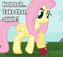 Size: 838x767 | Tagged: safe, fluttershy, pegasus, pony, caption, female, image macro, mare, pink mane, yellow coat