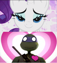 Size: 640x712 | Tagged: safe, rarity, pony, unicorn, crossover, donatello, teenage mutant ninja turtles, tmnt 2012