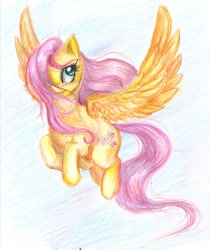 Size: 1231x1464 | Tagged: safe, artist:shad-o-ren, fluttershy, pegasus, pony, female, mare, pink mane, traditional art, yellow coat