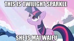 Size: 600x334 | Tagged: safe, derpibooru import, edit, edited screencap, screencap, twilight sparkle, winter wrap up, image macro, solo