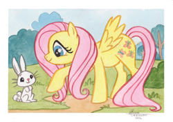 Size: 900x634 | Tagged: safe, artist:kamirah, angel bunny, fluttershy, pegasus, pony, female, mare, traditional art