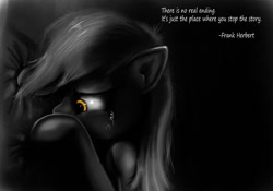 Size: 1024x717 | Tagged: safe, artist:hereticofdune, derpy hooves, pegasus, pony, crying, derpygate, female, frank herbert, mare, monochrome, neo noir, partial color, quote, sad, solo, tragic