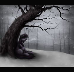 Size: 1100x1070 | Tagged: safe, artist:ventious, derpibooru import, twilight sparkle, pony, unicorn, detailed, forest, letterboxing, sad, scenery, sitting, snow, snowfall, solo, tree, winter