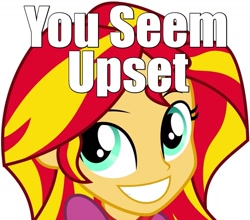 Size: 1165x1024 | Tagged: safe, sunset shimmer, equestria girls, cute, faic, image macro, meme, reaction image, shimmerbetes, solo, u mad, you seem upset