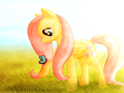 Size: 1024x768 | Tagged: safe, artist:thedogzlife, fluttershy, butterfly, pegasus, pony, crepuscular rays, female, folded wings, grass, hoof hold, looking at something, looking down, mare, outdoors, profile, raised hoof, solo, standing, wings