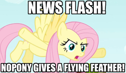 Size: 500x288 | Tagged: safe, fluttershy, pegasus, pony, female, flying feather, image macro, mare, none given