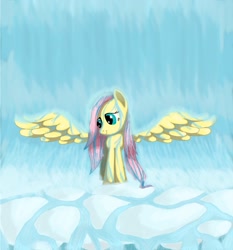 Size: 1167x1250 | Tagged: safe, artist:grennadder, fluttershy, pegasus, pony, female, mare, smiling, wet mane