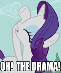 Size: 358x424 | Tagged: safe, rarity, pony, unicorn, caption, drama, image macro, reaction image