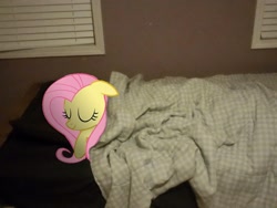 Size: 2592x1944 | Tagged: safe, artist:errorboy6090, fluttershy, pony, bed, irl, photo, ponies in real life, sleeping, vector