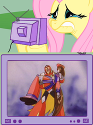 Size: 560x752 | Tagged: safe, fluttershy, pegasus, pony, exploitable meme, megaman, megaman x, meme, tv meme, zero