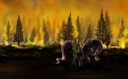 Size: 1920x1200 | Tagged: safe, artist:dcpip, fluttershy, pegasus, pony, arson, fire, forest, forest fire