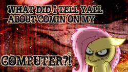 Size: 1600x900 | Tagged: safe, fluttershy, pegasus, pony, .mov, female, fluttershed, mare, shed.mov