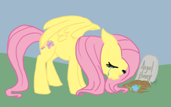 Size: 750x469 | Tagged: safe, artist:bux, angel bunny, fluttershy, pegasus, pony, crying, grave