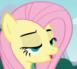 Size: 801x717 | Tagged: safe, screencap, fluttershy, pegasus, pony, bust, cropped, derp, female, lidded eyes, mare, open mouth, solo, three quarter view