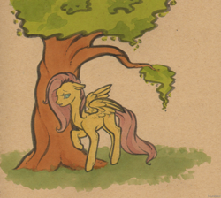 Size: 916x822 | Tagged: safe, artist:mumbles, fluttershy, pegasus, pony, female, mare, solo, tree
