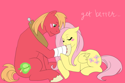 Size: 1350x900 | Tagged: safe, artist:etrnlpeace, big macintosh, fluttershy, earth pony, pegasus, pony, bandage, fluttermac, get well soon, injured, male, shipping, stallion, straight