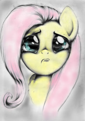 Size: 750x1064 | Tagged: dead source, source needed, useless source url, safe, artist:carlotta-guidicelli, fluttershy, pegasus, pony, bust, colored, crying, frown, looking at you, portrait, pouting, sad, solo