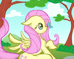 Size: 800x640 | Tagged: safe, artist:accursedknight, fluttershy, pegasus, pony, female, mare, pink mane, solo, yellow coat