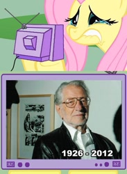 Size: 563x771 | Tagged: safe, fluttershy, pegasus, pony, exploitable meme, fluttercry, joe kubert, meme, tv meme