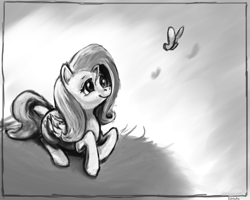 Size: 1024x819 | Tagged: safe, artist:idriaka, fluttershy, butterfly, pegasus, pony, female, grayscale, looking up, mare, monochrome, prone, smiling, solo