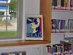 Size: 2048x1536 | Tagged: safe, derpibooru import, twilight sparkle, book, hope poster, library, photo, poster, propaganda, read, shepard fairey