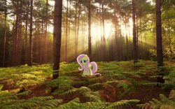 Size: 1280x800 | Tagged: safe, artist:brosteve, fluttershy, pony, forest, irl, photo, ponies in real life, vector