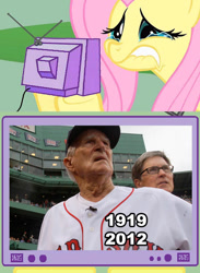 Size: 563x771 | Tagged: safe, fluttershy, pegasus, pony, exploitable meme, fluttercry, johnny pesky, meme, meta, red sox, tv meme