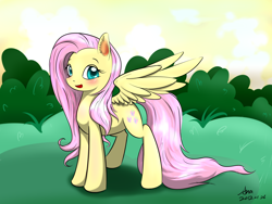 Size: 4320x3240 | Tagged: dead source, safe, artist:xcopyen002, fluttershy, pegasus, pony, female, mare, solo