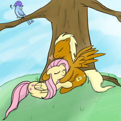 Size: 1000x1000 | Tagged: safe, artist:theparagon, fluttershy, bird, female, leeroy wingkins, leeroyshy, male, shipping, species swap, straight